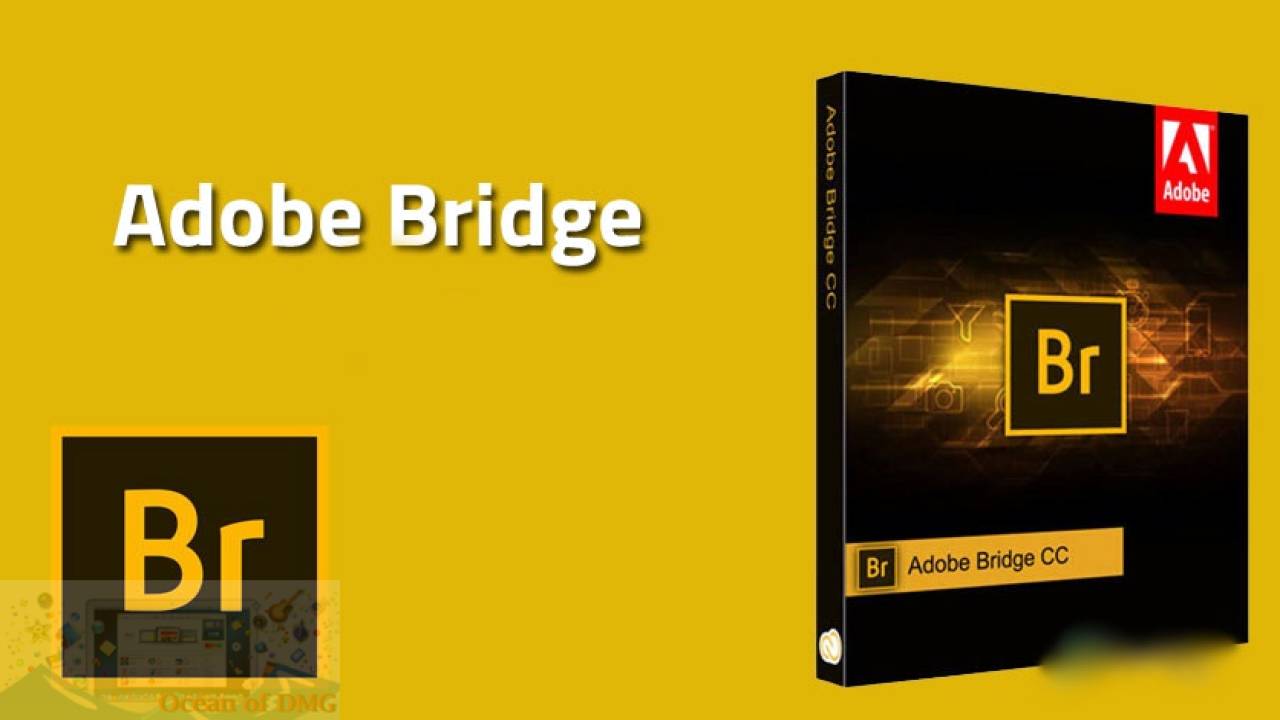 Adobe Bridge CC 2021