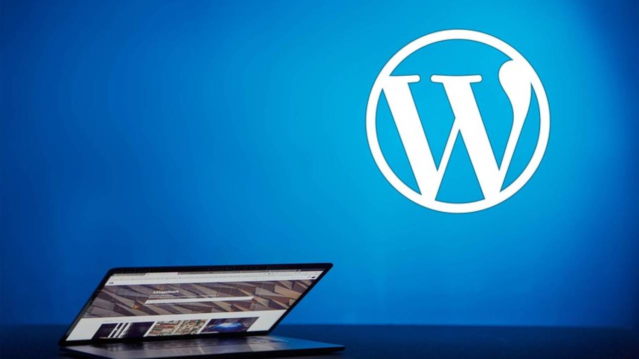 Udemy - Wordpress For Beginners, Installation And Configuration