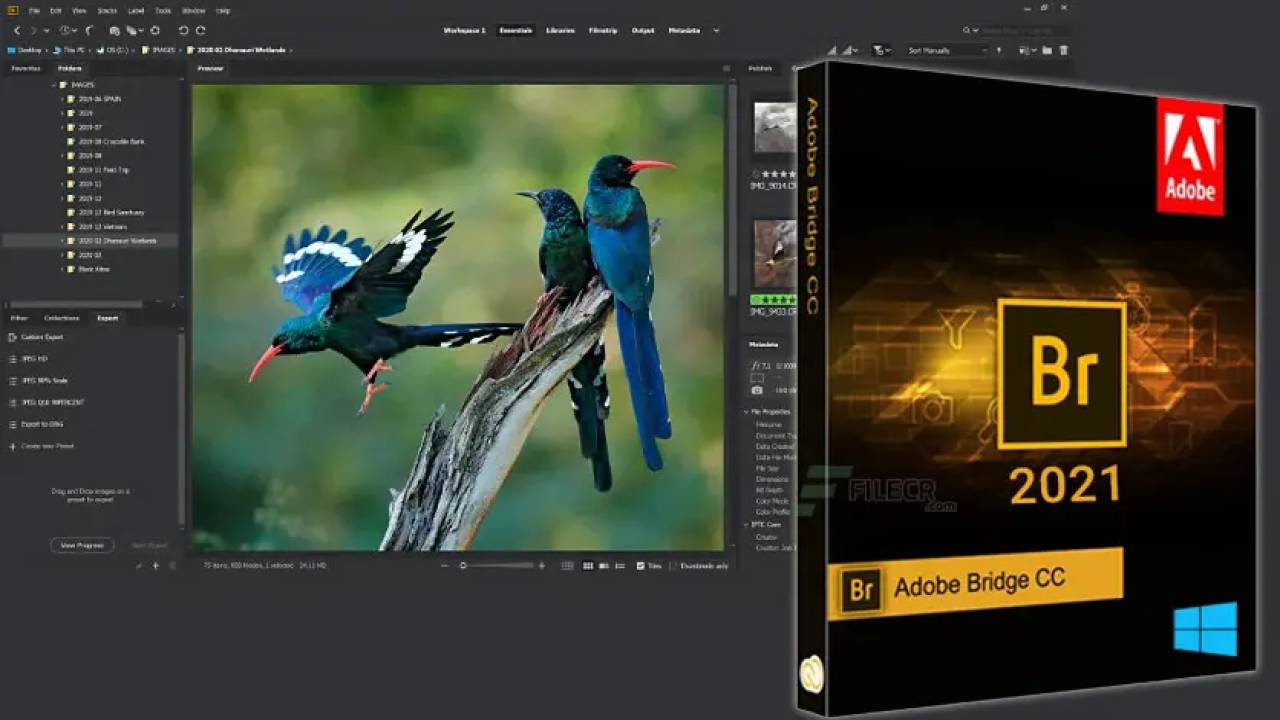 Adobe Bridge CC 2021